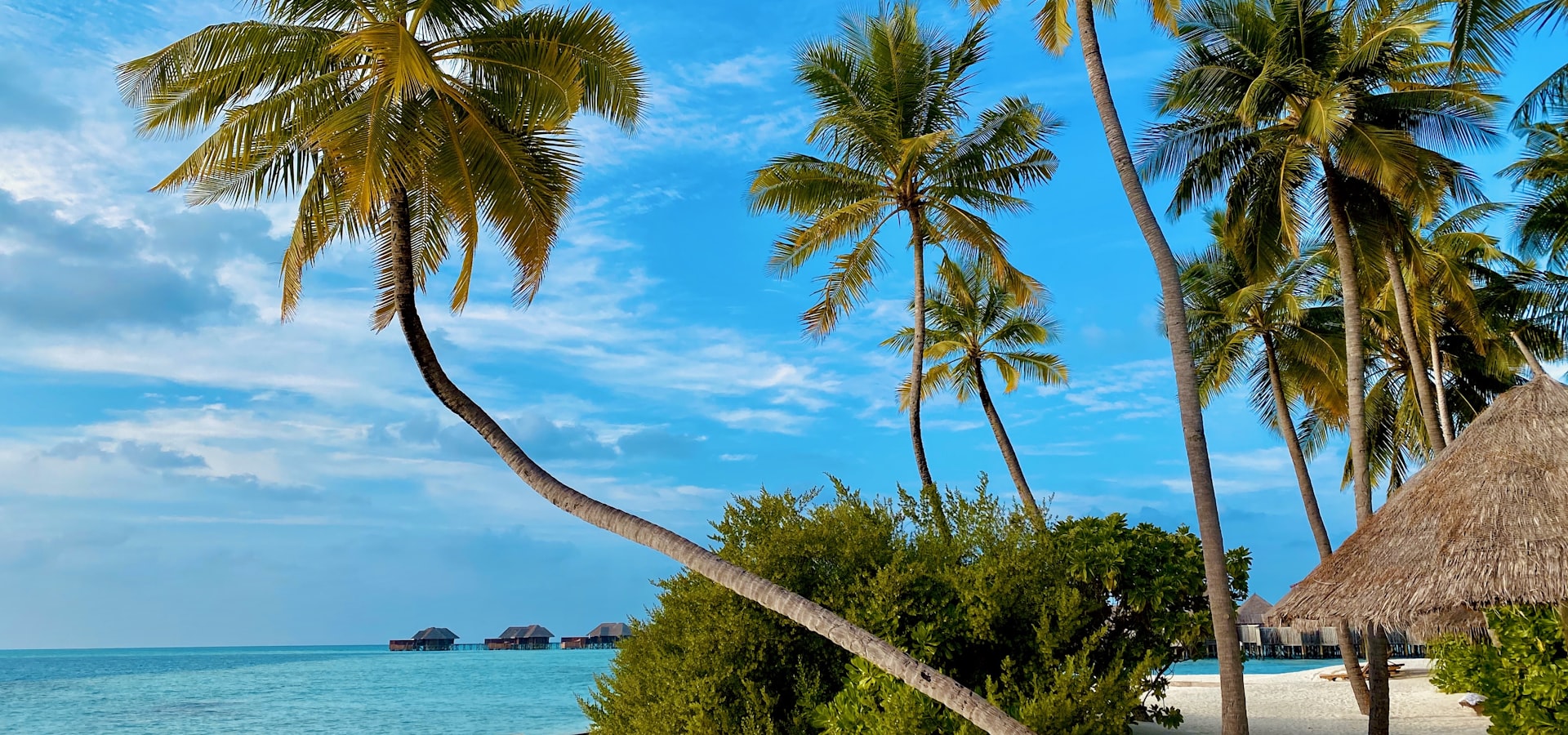 Hauspersonal in St. Gallen